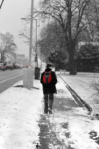 Cambridge in Snow - Photo 1